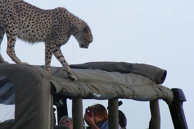 2 Days Masai Mara Private Safari From Nairobi - Transportation and Location