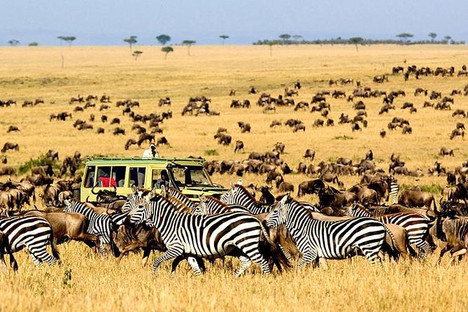 2 Days Masai Mara Private Safari From Nairobi - Alternative Safari Package