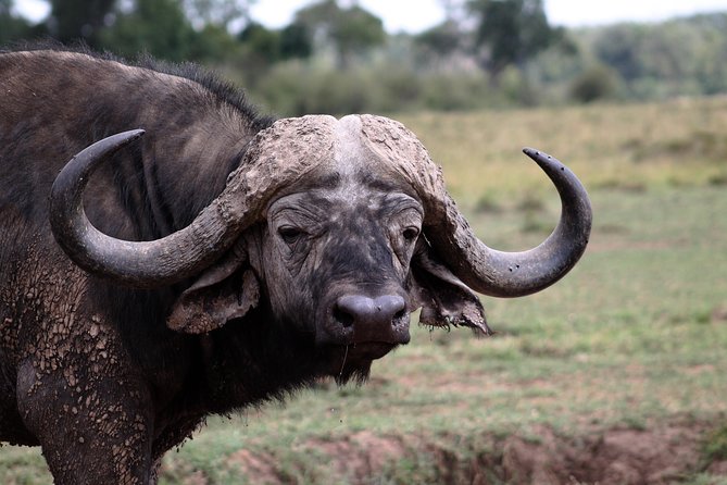 2 Days Masai Mara Safari - Preparing for the Safari
