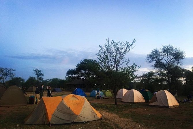 2 Days Mid Range Safari in Ngorongoro and Tarangire Big 5 Parks - Wildlife Viewing Opportunities