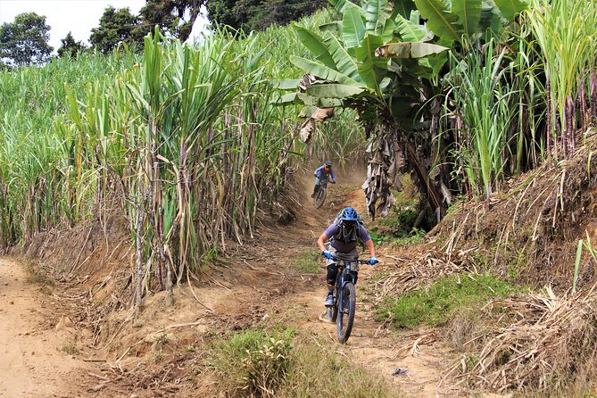 2 Days Mountain Biking Enduro in Hieleros and Mamarumi - Key Points