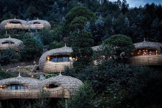 2 Days Mountain Gorilla Safari Rwanda - Reviews and Ratings