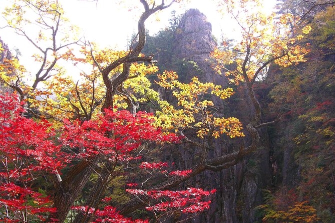 2-days: Mt Seorak, East Sea(Naksansa) & Nami or Ulsanbawi Hiking - Pickup Information