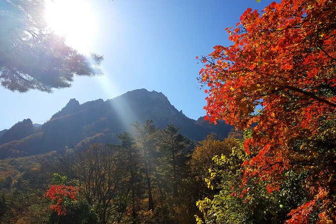 2-days: Mt Seorak, East Sea(Naksansa) & Nami or Ulsanbawi Hiking - East Sea (Naksansa)