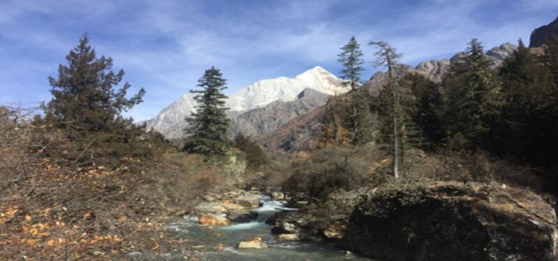 2 Days Mt. Siguniang+Wolong Panda Tour From Chengdu - Highlights and Experiences
