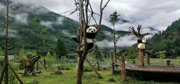 2 Days Mt. Siguniang+Wolong Panda Tour From Chengdu - Customization Options
