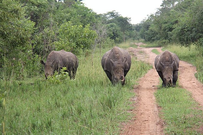 2-days Murchison Falls and Wildlife Game Viewing - Itinerary and Schedule