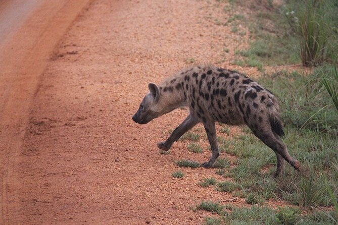 2-days Murchison Falls and Wildlife Game Viewing - Included Meals and Drinks