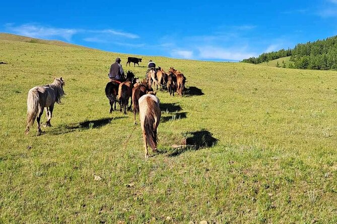 2 Days of Authentic Mongolian Trip Near Ulaanbaatar All-Inclusive - Cultural Activities