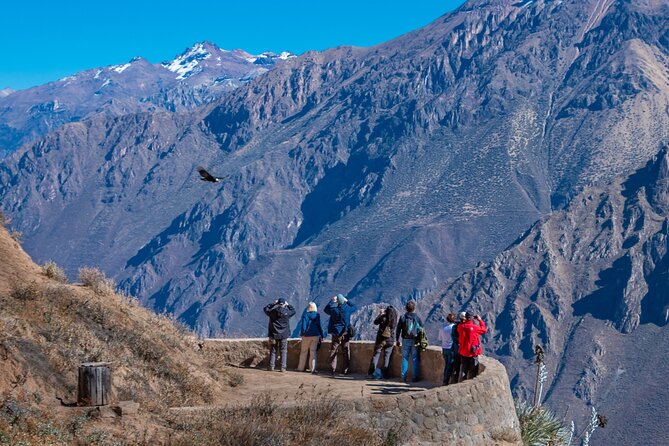 2 Days of Natural Experience in the Colca Canyon - Highlights of the Tour