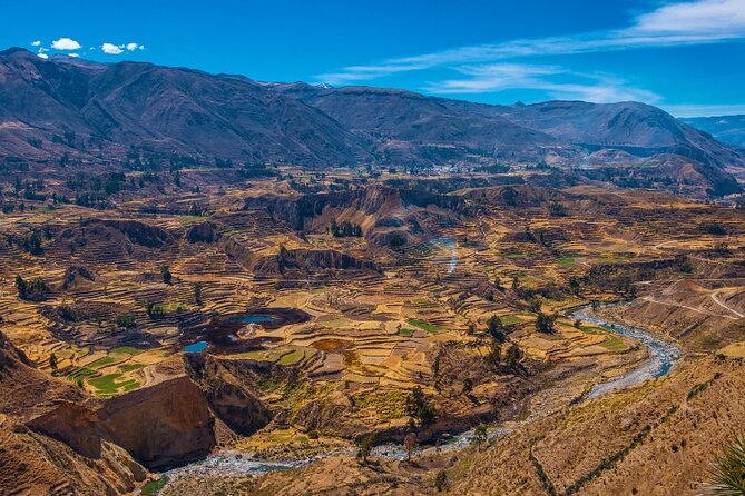 2 Days of Natural Experience in the Colca Canyon - Exploring the Yura Road