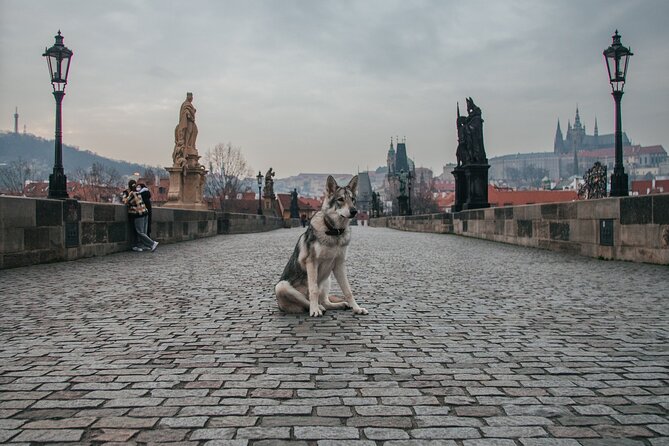 2 Days of Prague Exploration: Left and Right Bank of Vltava River - Experiencing the Christmas Market