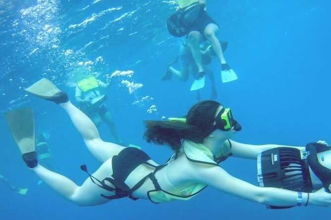 2-Days of Private Jamaican Excursions (All Inclusive) - Accommodations and Transportation