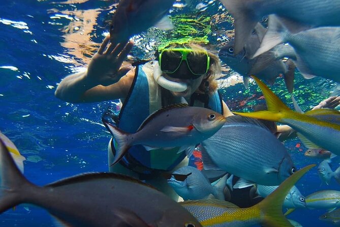 2-Days of Private Jamaican Excursions (All Inclusive) - Montego Bay Exploration
