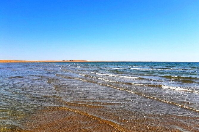 2 Days of Tour in Yurt Camp and Aydarkul - Day 1: Samarkand to Yurt Camp