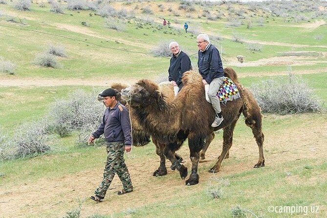 2 Days of Tour in Yurt Camp and Aydarkul - Historical Context