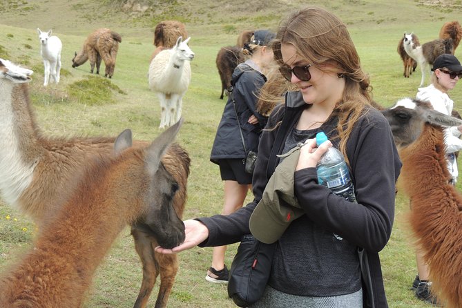 2-Days Otavalo Highlights - Marvel at Volcanos