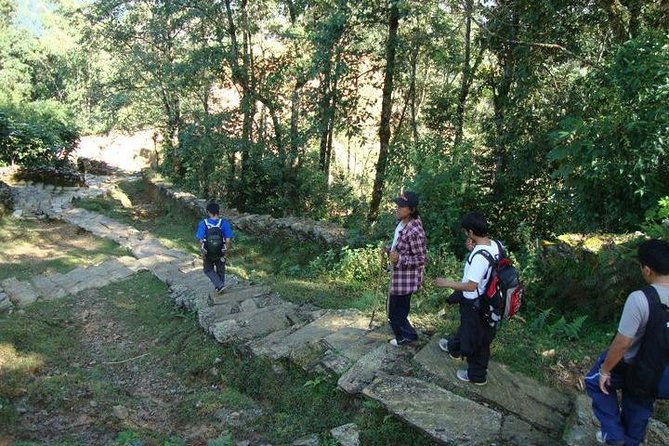 2 Days Panchase Hill Trek From Pokhara - Pickup and Drop-off Logistics