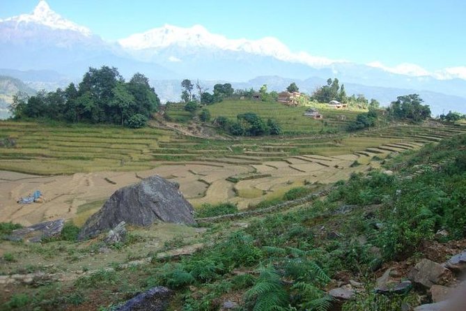 2 Days Panchase Hill Trek From Pokhara - Detailed Itinerary