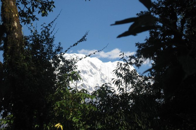 2 Days Panchase Hill Trekking - Exclusions