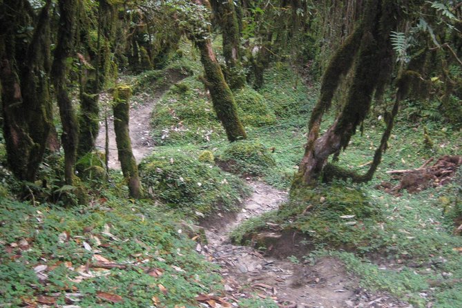 2 Days Panchase Hill Trekking - Meeting and Pickup