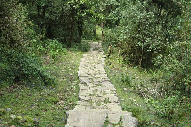 2 Days Panchase Hill Trekking - Provider Information