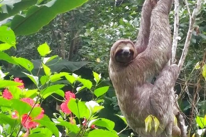 2 Days Peruvian Amazon Tour From Iquitos - Tour Overview