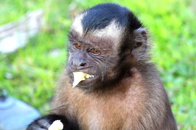 2 Days Peruvian Amazon Tour From Iquitos - What to Bring
