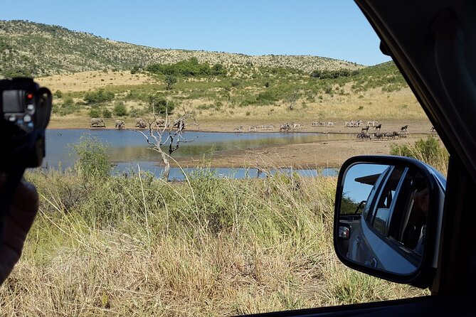 2-Days Pilanesberg Best Chance to View Big 5 With Private Extended Safari - Pickup and Transportation Details