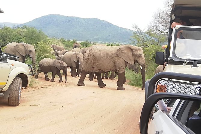 2 Days Pilanesberg Safari 4 Star Lodge - Pricing and Booking Details