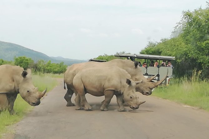 2 Days Pilanesberg Safari 4 Star Lodge - Accessibility Features