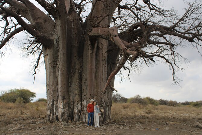 2 Days Private Camping Safari - Campsite Accommodations and Amenities