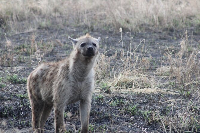 2 Days Private Camping Safari - Booking and Cancellation Policy