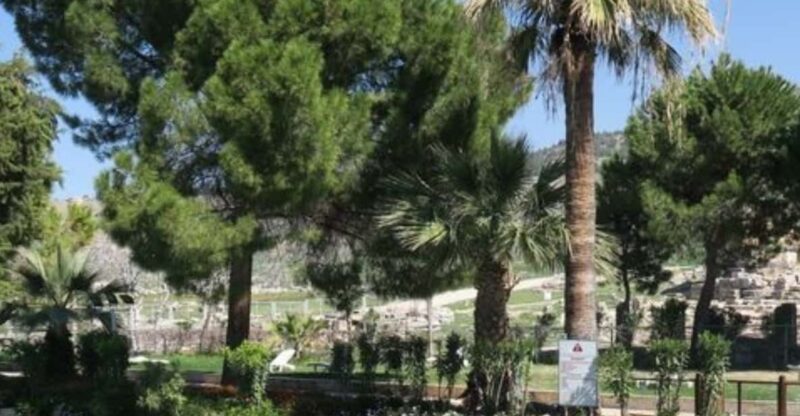 2 DAYS PRIVATE EFES PAMUKKALE TOUR - Day 1: Ephesus Tour