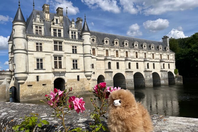 2-Days Private Guided Tour in Loire Valley Castles & Wine Tasting - Private Guided Experience
