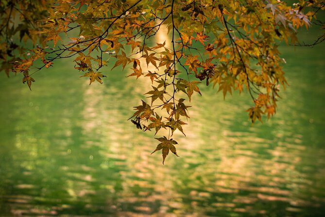 2 Days Private Luxury Zen Tour Temple Stay - End Point