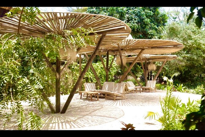 2-Days Private Midrange Safari From and to Zanzibar - Pickup and Meeting Details