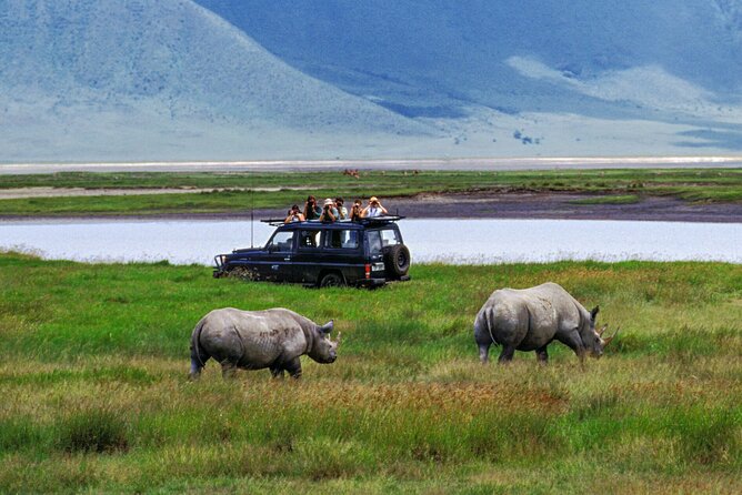 2-Days Private Midrange Safari From and to Zanzibar - Health and Accessibility