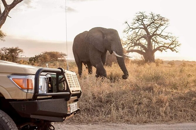 2-Days Private Midrange Safari From and to Zanzibar - Itinerary Day 2