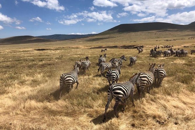 2-Days Private Midrange Safari; Tarangire & Ngorongoro Crater - Tour Pricing