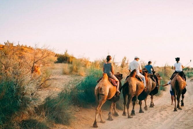 2 Days Private Safari Tour from Bukhara - Introduction