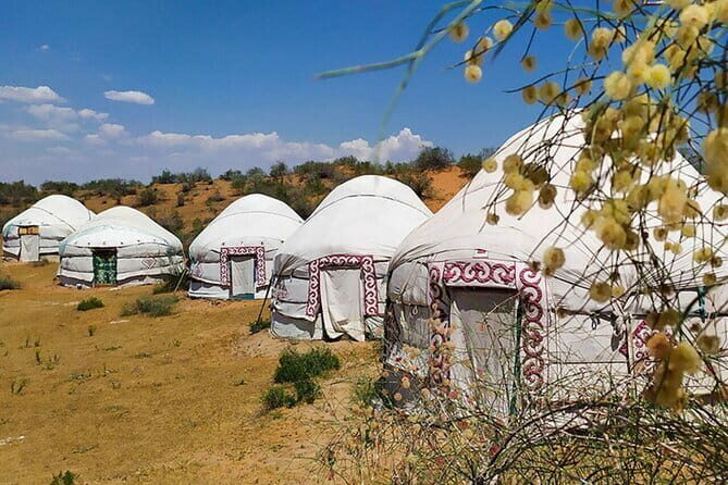 2 Days Private Safari Tour from Bukhara - Authentic Experiences and Cultural Touches