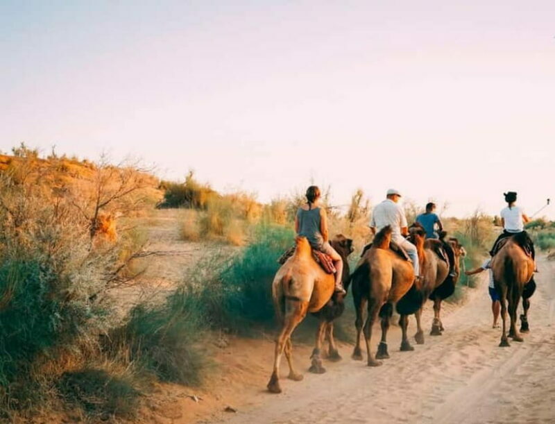 2 Days Private Safari Tour from Bukhara - Cultural Encounters: Villages and Traditional Music