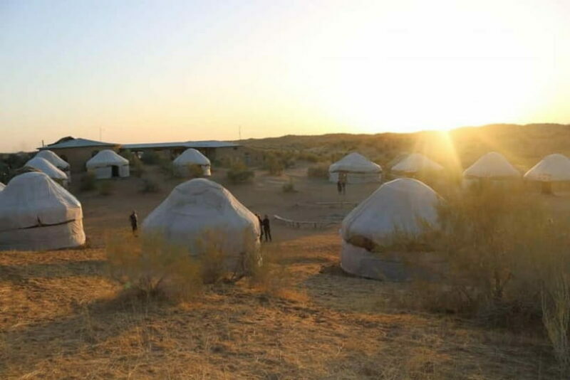 2 Days Private Safari Tour from Bukhara - Final Thoughts