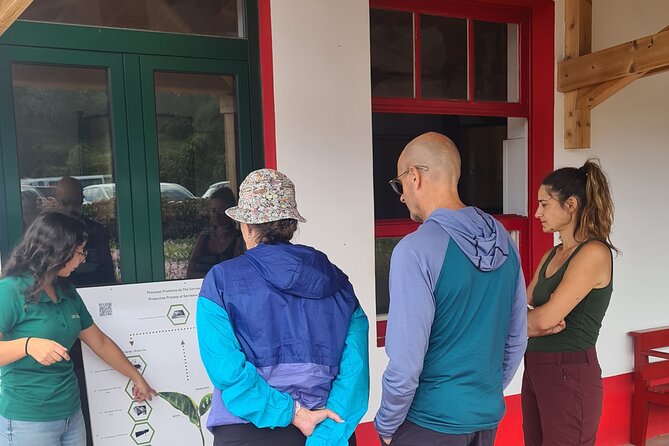 2 Days Private Tour in São Miguel - Schedule and Availability