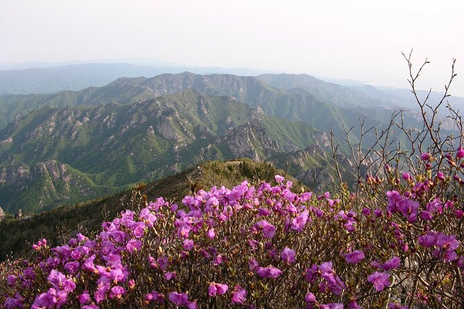 2 Days Private Tour : Mt Seorak & Naksansa Temple & Nami Island From Seoul - Tour Pricing