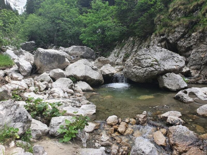 2 Days Private Tour - the Romanian Caves From Bucharest - Overnight Accommodation