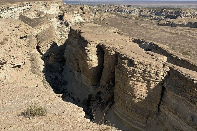 2 Days Private Tour To Aral Sea - Key Points