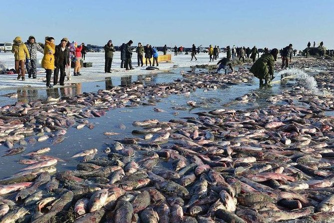 2 Days Private Tour to Chagan Lake Winter Fishing From Harbin - Pickup and Confirmation