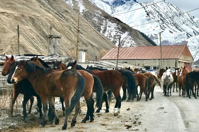 2 Days Private Tour to Kazbegi and Juta Village With Trekking - Itinerary: Day 2